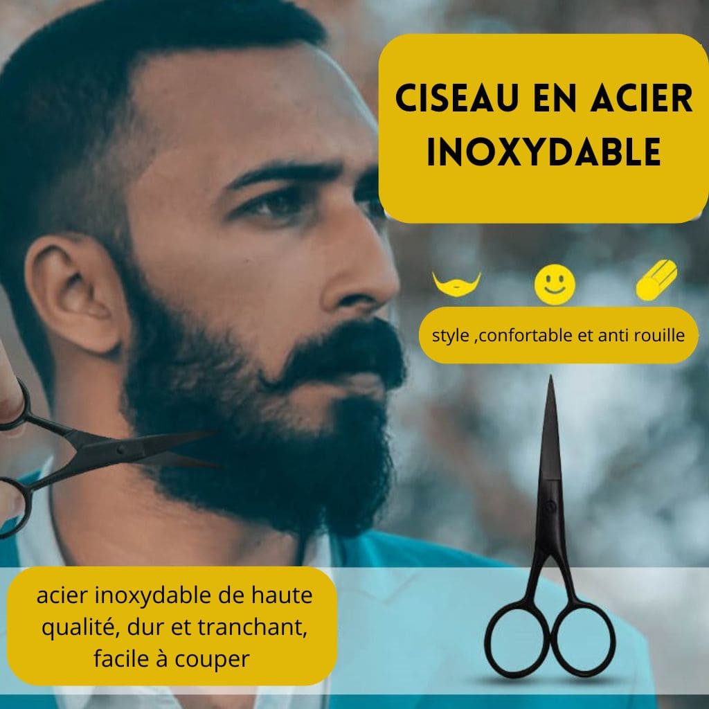 CISEAUX à barbe en inox